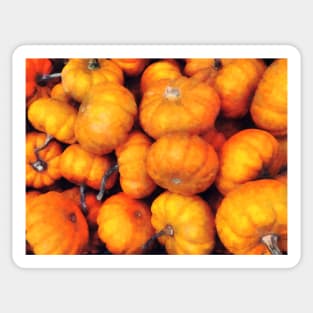 Baby Pumpkins Sticker